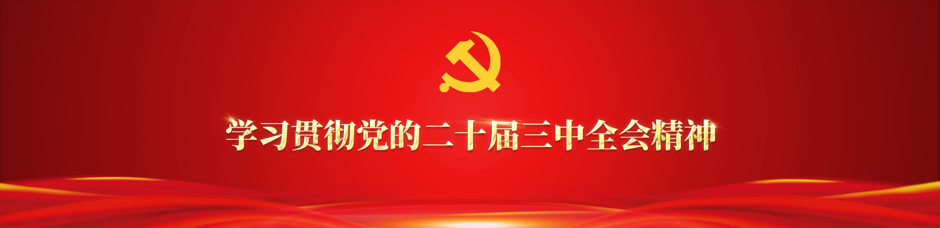 学习贯彻党的二十届三中全会精神